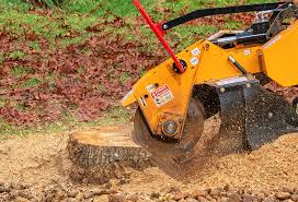 Best Fruit Tree Pruning  in Pinardville, NH