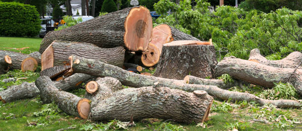 Best Storm Damage Tree Cleanup  in Pinardville, NH
